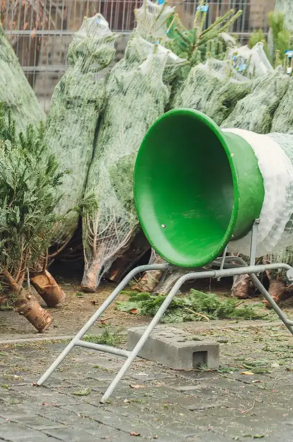 Sapin Nordmann premium – Image 2